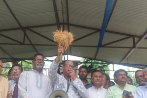 বিএনপি ‘না’ ভোটে গেলে গণভোট অর্থহীন হবে: শামসুজ্জামান দুদু