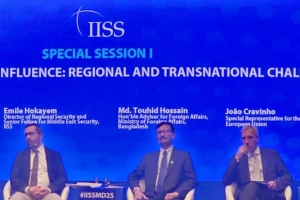 দেশে কোনো অ-রাষ্ট্রীয় সশস্ত্র গোষ্ঠীর কার্যক্রম চলবে না: পররাষ্ট্র উপদেষ্টা