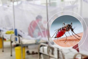 ২৪ ঘণ্টায় ডেঙ্গুতে হাসপাতালে ভর্তি ৫০৬