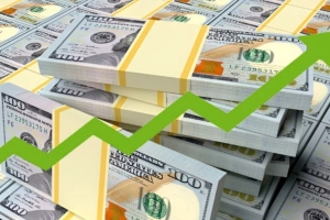 দুই কোম্পানির শেয়ারে বেড়েছে বিদেশি বিনিয়োগ