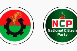 বিএনপির কাছে যত আসন চায় এনসিপি, ভাগ চায় মন্ত্রিসভায়ও