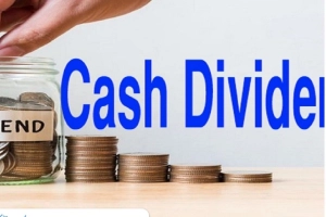 ক্যাশ ডিভিডেন্ড পেল তালিকাভুক্ত কোম্পানির বিনিয়োগকারীরা
