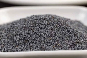 চট্টগ্রাম বন্দরে বার্ড ফুডের আড়ালে ৬.৫ কোটি টাকার পপি সিড জব্দ