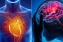 হার্ট অ্যাটাক ও স্ট্রোকের পার্থক্য কী? জেনে নিন