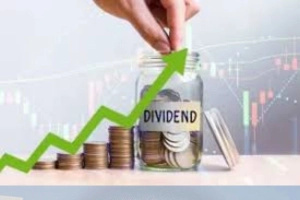 বিদ্যুৎ ও জ্বালানি খাতের ৫ কোম্পানির ডিভিডেন্ড বেড়েছে