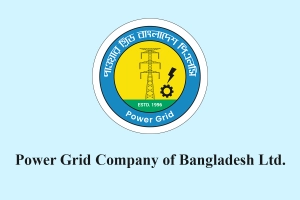 বিনিয়োগকারীদের হতাশ করল পাওয়ারগ্রিড