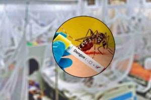 শীতে ডেঙ্গু ভয়াবহ আকার নিতে পারে: বিশেষজ্ঞদের হুঁশিয়ারি