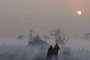 সারাদেশে কমতে পারে রাত-দিনের তাপমাত্রা