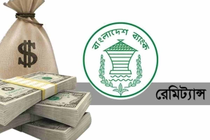 প্রথম ১০ দিনে দেশে রেমিট্যান্সে রেকর্ডসৃষ্টি