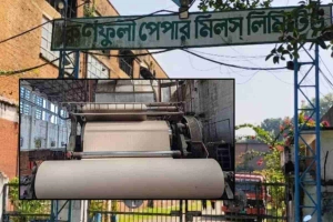 নির্বাচনের ব্যালট ছাপার জন্য ইসি কিনছে ৯১৫ টন কাগজ