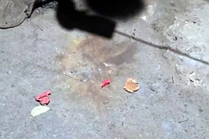 টিএসসিতে পরপর দুই ক’কটেল বিস্ফো’রণ, আহত ১