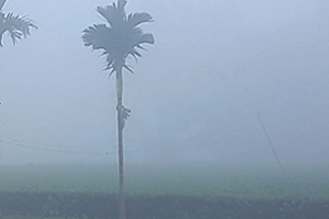 কুয়াশায় ঢেকে গেছে তেঁতুলিয়া, তাপমাত্রা নেমে ১২ ডিগ্রিতে