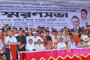 ধানের শীষের জোয়ার পুরো দেশে বাস্তবায়ন করতে হবে: আমীর খসরু