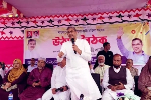 নির্বাচন ব্যাহত করতে পরিকল্পিত ষড়যন্ত্র হচ্ছে: এ্যানি