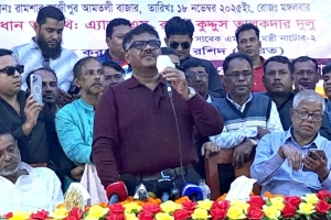 হাসিনার মৃত্যুদণ্ড ন্যায়বিচারের সর্বোত্তম উদাহরণ: দুলু