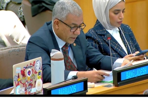 রোহিঙ্গার ভার আর বহন করা সম্ভব নয়: বাংলাদেশ