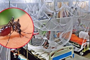 ডেঙ্গুতে নতুন রোগী ৪৩৬ জন, ২৪ ঘণ্টায় মৃ'ত্যু নেই