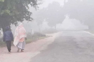 পঞ্চগড়ে বাড়ছে শীতের দাপট, সর্বনিম্ন তাপমাত্রা রেকর্ড