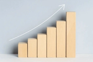 ডিএসই-৩০ উত্থানের নেতৃত্বে ৫ কোম্পানি