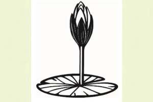 ইসির ওয়েবসাইটে যুক্ত হলো এনসিপির প্রতীক ‘শাপলা কলি’র স্কেচ