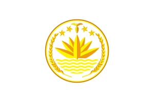 গুগলকে মিসইনফরমেশন সরানোর অনুরোধ নিয়ে সরকারের ব্যাখ্যা