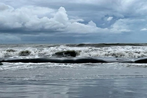 ঘূর্ণিঝড় ডিটওয়াহ: দেশের চার বন্দরে সতর্ক সংকেত