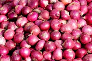 বাংলাদেশে আমদানি কমায় ভারতের পেঁয়াজ ব্যবসায় ধস