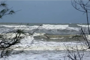 শক্তিশালী হচ্ছে ‘ডিটওয়াহ’, বাংলাদেশে কি প্রভাব পড়বে?