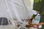 ২৪ ঘণ্টায় ডেঙ্গু: ৫৬৫ জন ভর্তি, ২ জনের মৃ’ত্যু