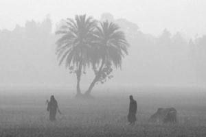 আসছে তীব্র শৈত্যপ্রবাহ! তাপমাত্রা নামবে ৪ ডিগ্রিতে