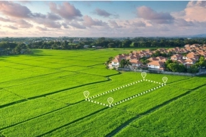 মাত্র ১ মিনিটেই জানতে পারবেন জমির আসল মালিক কে