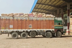 ভারত থেকে পেঁয়াজ আমদানি বাড়ল, বাজারে স্বস্তির আশা
