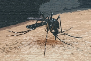 ডেঙ্গুতে ২৪ ঘণ্টায় মৃ'ত্যু ৩, হাসপাতালে ভর্তি ৪১১