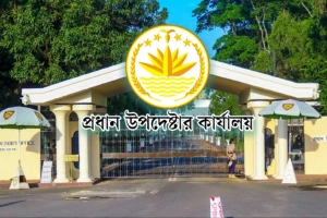 প্রধান উপদেষ্টার কার্যালয় থেকে মহিবুল হাসানের প্রত্যাহার