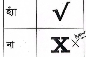 গণভোটের নমুনা ব্যালট পেপার প্রকাশ