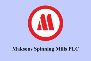 বিনিয়োগকারীদের হতাশ করল ম্যাকসন্স স্পিনিং