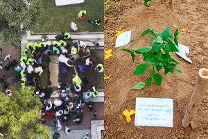 শহীদ হাদির কবরে রোপণ হলো বিপ্লবের প্রতীক ‘রক্তজবা’