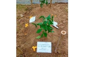 জাতীয় কবির পাশে চিরনিদ্রায় শহীদ ওসমান হাদি