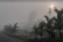 সারা দেশে ঘন কুয়াশার সতর্কতা, বিঘ্নিত হতে পারে যানচলাচল