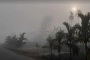 শীতের তীব্রতা কমছে না, অব্যাহত থাকবে শৈত্যপ্রবাহ ও কুয়াশা