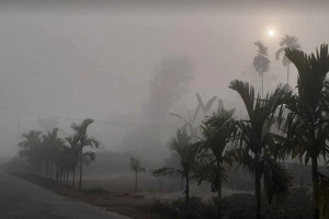 শীতের তীব্রতা কমছে না, অব্যাহত থাকবে শৈত্যপ্রবাহ ও কুয়াশা