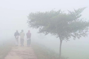 শীতের তীব্রতার সঙ্গে বাড়ছে কুয়াশা, চলবে আরও ৫ দিন
