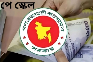 গভর্নরের মন্তব্যে ক্ষোভ, মাঠে নামছে সরকারি কর্মচারীরা