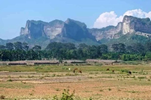 মিয়ানমার সীমান্তের গুলিতে টেকনাফে শিশুর মৃ'ত্যু