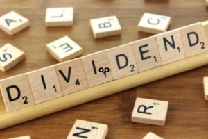 দুই প্রতিষ্ঠানের ডিভিডেন্ড বিতরণ সম্পন্ন