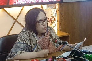 ডিসির শোকজের এখতিয়ার নিয়ে রুমিন ফারহানার প্রশ্ন