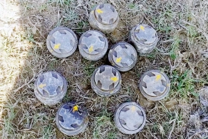 সীমান্তে ১০ মাইন প্লেট উদ্ধার, জনমনে আতঙ্ক