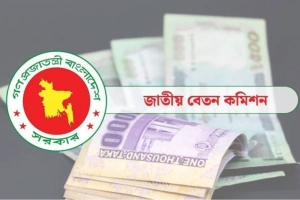 পে কমিশনের চূড়ান্ত প্রতিবেদন জমা বুধবার, যা জানাল উপদেষ্টা