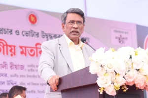 গণভোটে সরকারি কর্মকর্তাদের প্রচার বৈধ: আলী রীয়াজ
