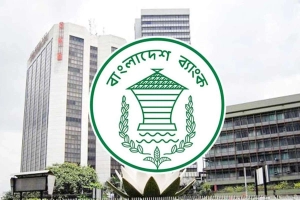 কেন্দ্রীয় ব্যাংকের প্রজ্ঞাপনে গণভোট প্রচারণা শুরু